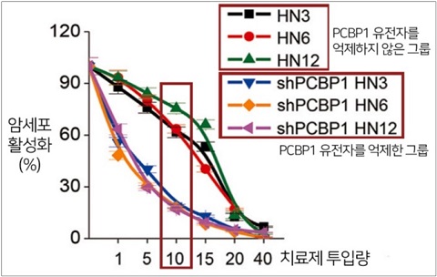 ▲ PCBP1유전자를 억제한 그룹이 암세포 활성화가 최대 70%p이상 더 낮았다. 